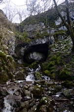 Thumbnail of photo from this article